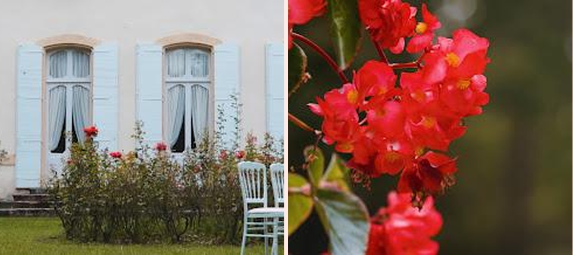Domaine de caseneuve - Photo 1